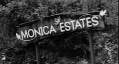 Monica Estates